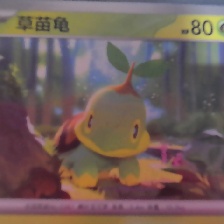草苗龟 #0387