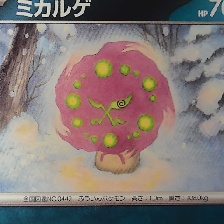 花岩怪 #0442