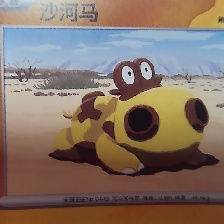 沙河马 #0449