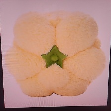 风妖精 #0547