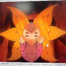 火神蛾 #0637