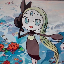 美洛耶塔 #0648