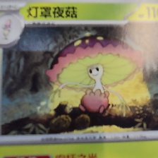 灯罩夜菇 #0756