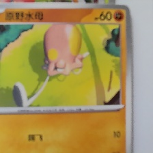 原野水母 #0948